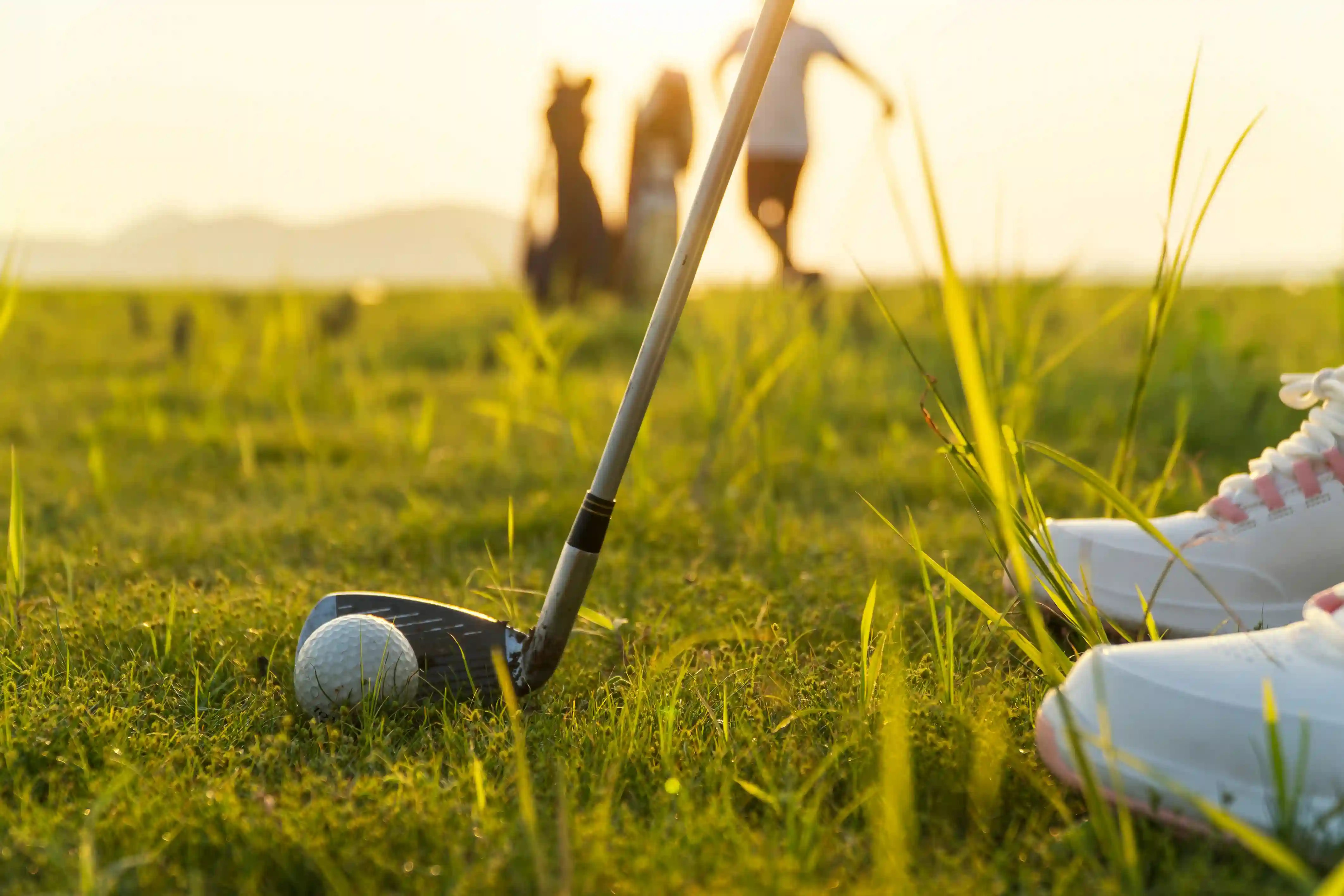 Fair Way Dynasty Coaching Options